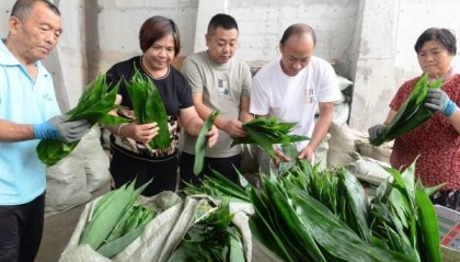 荣昌:集体林分区分级经营实现生态经济双赢