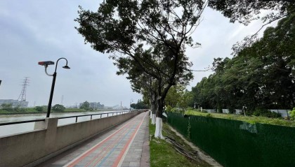 东莞一地多处被围蔽却无人施工,市民质疑工程烂尾,最新回应