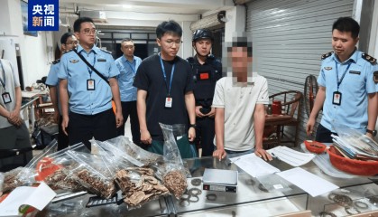 央视曝光后,广东电白连夜行动,对5家企业立案调查