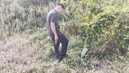 浙江一姑娘以奶茶为记号,竟然在草丛里藏了11万现金!