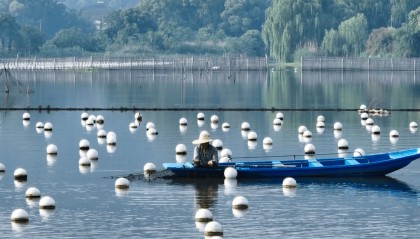 全球农业文化遗产上新,为何是它们?