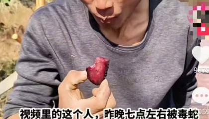 湖南网红直播抓银环蛇被咬伤,疑因嫌注射血清贵独自离开,好友:如果不是炒作就很危险