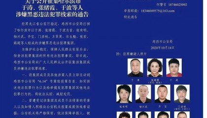 界面调查|冰城公安局涉黑副局长隐匿的政商关系图