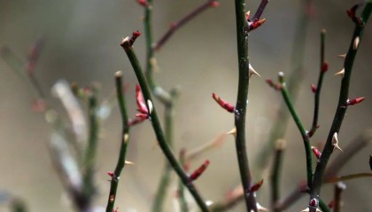 就在今天18时7分,黑龙江正式进入…