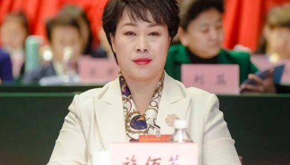 官方披露:施佰芝涉嫌严重违法犯罪