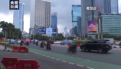 雅加达不再是印尼首都 新首都建设情况如何?