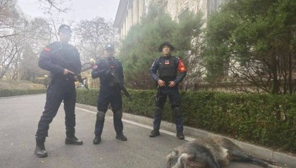 已确认!当场击毙