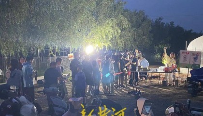 济南这片树林,一晚捉了20000只金蝉