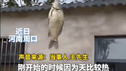 男子在家操控无人机钓鱼,当天就钓上十几条,当事人:不要轻易尝试,已被鱼拉下水十几个无人机