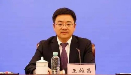 王雄昌,与蓝天立同时被罢免