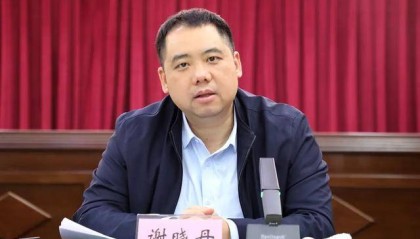 80后谢晓丹,任县委书记(附简历)