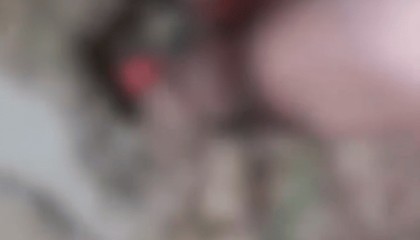 官方通报“成都4名初中生组团虐猫”:对涉事学生批评教育,停课反省