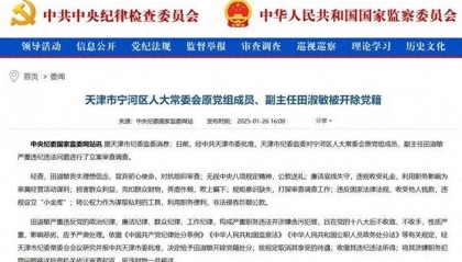 弄虚作假,欺上瞒下!天津市宁河区人大常委会原党组成员、副主任田淑敏被开除党籍