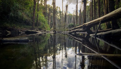 为何海尔冰箱无法制冷?探究原因与有效修复技巧
