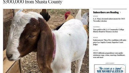 警察数百公里追杀小羊，这个案子判了