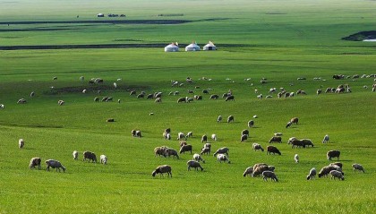 内蒙古进入经济增长第一方阵,如何做到的?