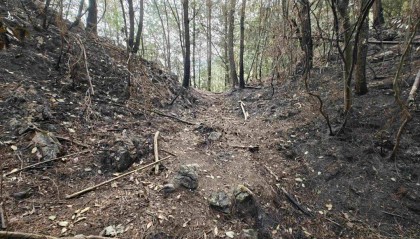 贵州一女子故意放火烧山被刑拘:心想救援队扑火后留下大量塑料瓶,可卖瓶子获利