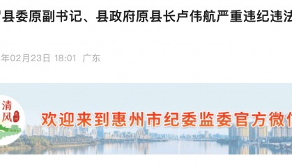 辞去公职7年后!惠州市博罗县原县长卢伟航被开除党籍