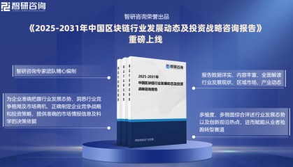 2025版中国区块链行业市场概况分析及投资前景分析报告