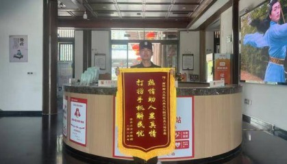 游客手机掉入水中 南阳保安热情相助