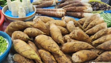 价格大跳水!50元/斤跌到1字头!浙江人超爱吃……