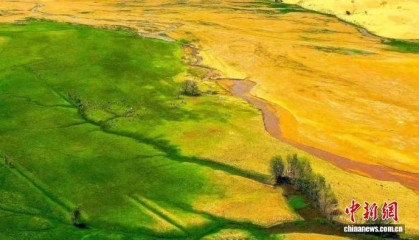 通讯:内蒙古鄂尔多斯借黄河水滋养万千景