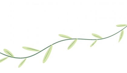 【联线数字法院】区块链赋能调查令 化解律师“取证难”