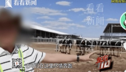 4个人骗了5个亿!该平台有120万用户!上海警方披露详情