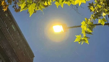 刚刚,武汉下雪了!最低气温-2℃,出门注意保暖