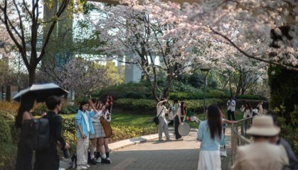 确认了!明天上海气温“起飞”,下周直冲26℃…天气还有转折,冷空气马上影响