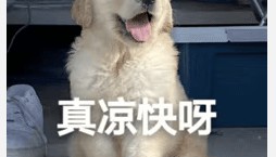 醒来“天塌了”!深圳一女子眼睛闭不上、嘴巴漏水!这些错误很多人会犯