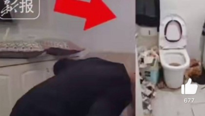 00后女孩租房半年,房东4天清出7车垃圾!网友:直接住垃圾场吧