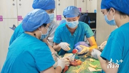 仅450克重,佛山市一医救下全市最小“巴掌宝宝”