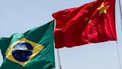 巴西最新宣布:“将在中国设立”