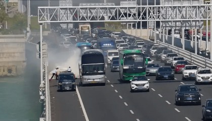 粤B·97821D、粤Z·AG85澳、粤T·91736,你们被拍下来了!