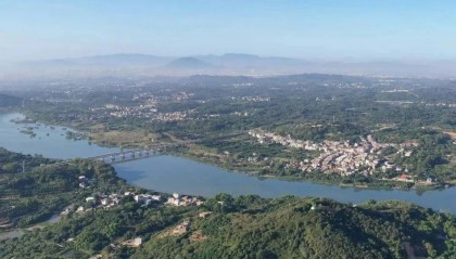 调研报告反映农村宅基地闲置:一村696间房,空置率43.8%