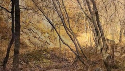 驴友景区登山遇见尸骨,山西霍州警方:为简易墓葬,排除刑事案件