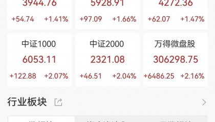 高盛：过去4周全球资金净流入A股243.85亿美元！印度股市流出2.84亿美元