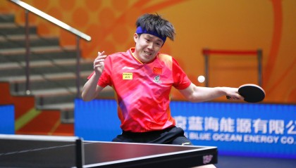 王楚钦出战法兰克福冠军赛,张本智和“一轮游”