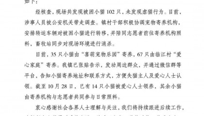 “成都一空置房非法囤猫”?官方通报:共发现被困小猫102只,未发现虐猫行为