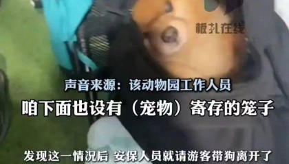游客带宠物狗进熊猫馆?园方:放包里偷带进去的,已加强管理