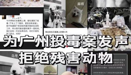 “死亡数据仍在上升”!广州警方介入