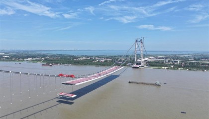 为防止鸟儿误撞,武汉双柳长江大桥将建400米长“防护罩”