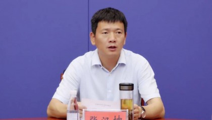 县长张汉坤官宣被查,公安局长落马后“消失”4个月