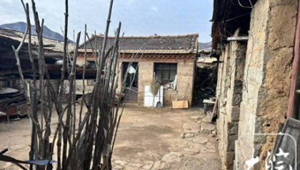 山西走失13年女硕士的“收留者”张某:办过酒席,没有拘禁她