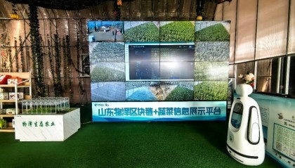 区块链溯源、大模型防虫,中国电信山东公司数智赋能寿光蔬菜产业发展