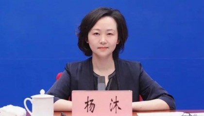 云南省商务厅厅长杨沐,履新商务部