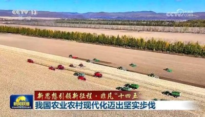 【新思想引领新征程·非凡“十四五”】我国农业农村现代化迈出坚实步伐