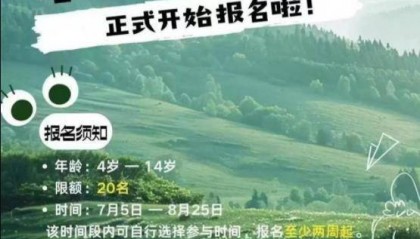 大理苍山走失8岁男童身亡,“明日之光”何以成绝命之旅?