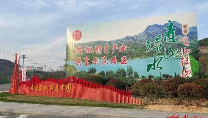 临沂市莒南县坪上镇厉家寨村:一条环山路每年引来百万游客,带“火”亿元级樱桃产业